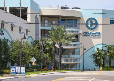 Clearwater Marine Aquarium